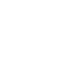 Logo NQT